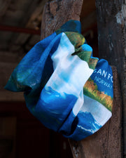 Buff - Susan Fosse