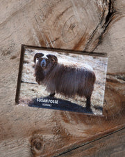 Fridge Magnets - Susan Fosse