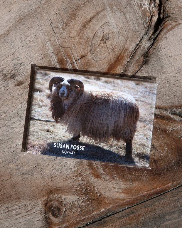 Fridge Magnets - Susan Fosse