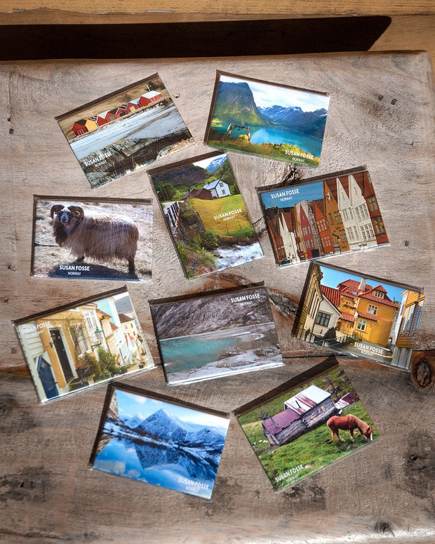 Fridge Magnets - Susan Fosse