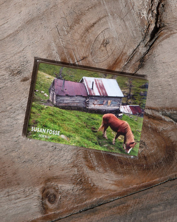 Fridge Magnets - Susan Fosse