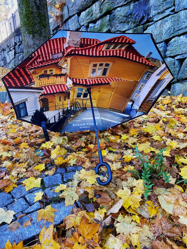 Umbrella - Susan Fosse