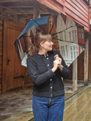 Umbrella - Folded - Susan Fosse